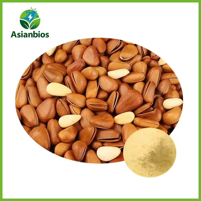 Pine Nut Extract Powder